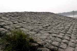 কুমারখালীতে রাতের আঁধারে নদী রক্ষা বাঁধ ঘেঁষে বালু উত্তোলনের অভিযোগ