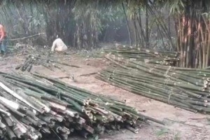 দৌলতপুরে প্রবাসীর স্ত্রীর জমি দখলের অভিযোগ 