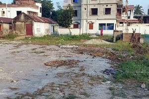 কুষ্টিয়ায় সরকারি চাল সংগ্রহ অভিযানে অনিয়মের অভিযোগ