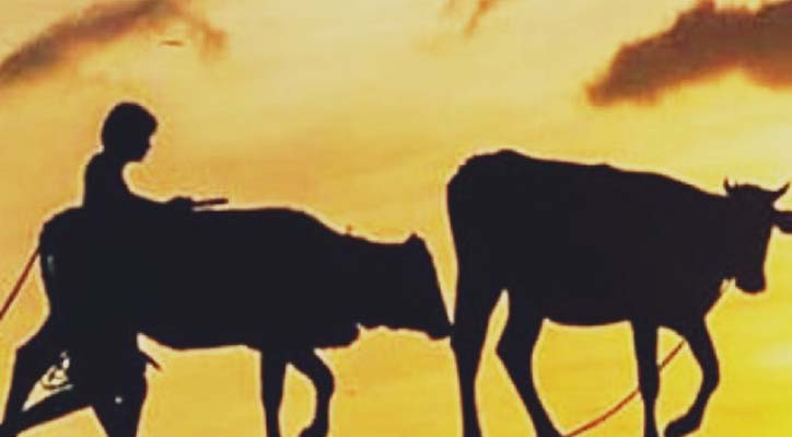 দৌলতপুরে গোয়ালের তালা ভেঙ্গে দুই লাখ টাকার গরু চুরি