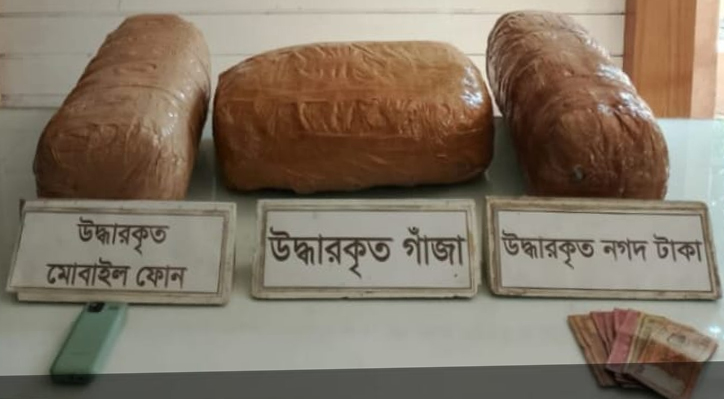 কুষ্টিয়ায় র‌্যাবের অভিযানে গাঁ*জা*সহ গ্রেফতার ১