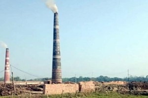 দৌলতপুরে কৃষি জমিতে গড়ে উঠা অবৈধ ইটভাটায় পুড়ছে কাঠ