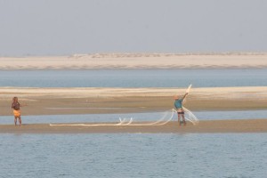 কুষ্টিয়ায় অতিথি পাখি ধরে বাজারে বিক্রি করছেন একশ্রেণির শিকারি