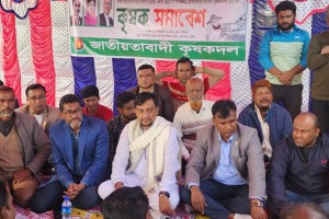 ভেড়ামারায় কৃষক দলের উদ্যোগে কৃষক সমাবেশ অনুষ্ঠিত