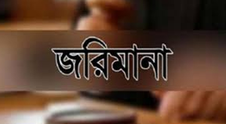 দৌলতপুরে অবৈধভাবে মাটি বিক্রয়ের অভিযোগে জরিমানা