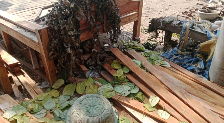 কুমারখালীতে পান বিক্রেতার দোকান ভাঙচুর ও পান বিনষ্টের অভিযোগ! 