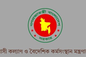 বিমান টিকিটের মূল্যবৃদ্ধির সাথে জড়িতদের চিহ্নিত করতে তদন্ত কমিটি গঠন