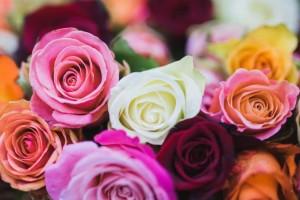 গোলাপ দেওয়ার আগে জেনে নিন, কোন্ গোলাপের কী মানে