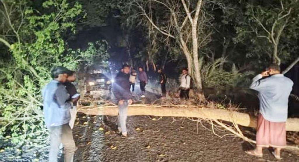 নওগাঁয় সড়কে গাছ ফেলে ডাকাতি 3 Untitled 1 1740316384 নওগাঁয় সড়কে গাছ ফেলে ডাকাতি