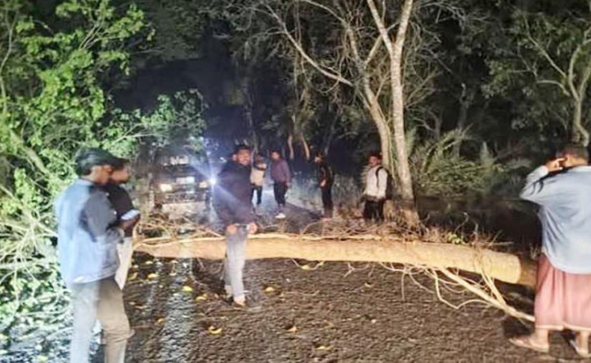 নওগাঁয় সড়কে গাছ ফেলে ডাকাতি