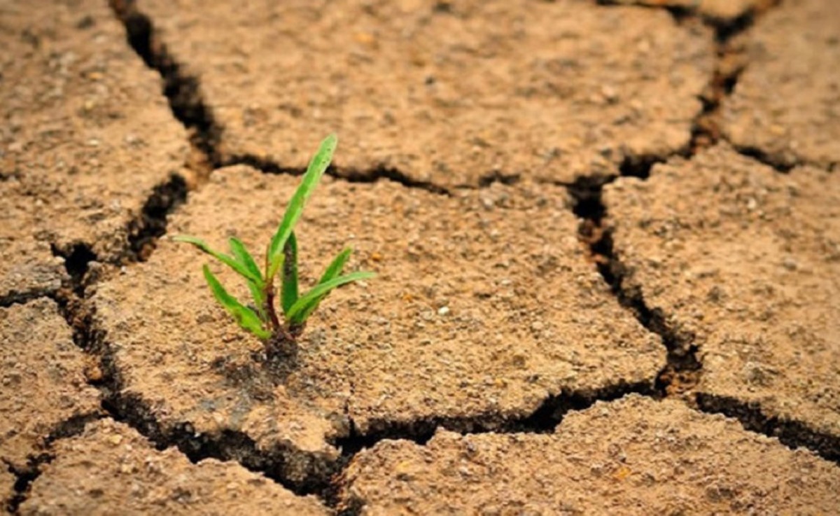উত্তরবঙ্গে বাড়বে খরার তীব্রতা