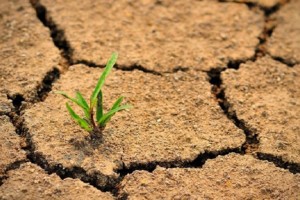 উত্তরবঙ্গে বাড়বে খরার তীব্রতা