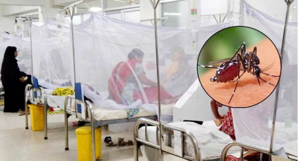 সারাদেশে ডেঙ্গু আক্রান্ত হয়ে ১৮ জন হাসপাতালে ভর্তি 2 image 1200x650 13 1739455230 সারাদেশে ডেঙ্গু আক্রান্ত হয়ে ১৮ জন হাসপাতালে ভর্তি