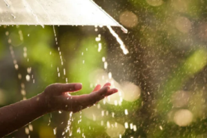 দুই বিভাগে বজ্রসহ বৃষ্টির আভাস