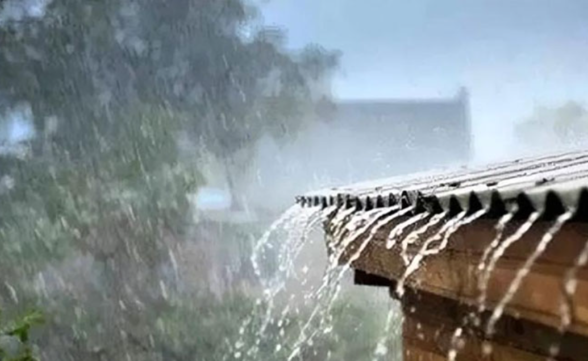রংপুর ও সিলেট বিভাগে বৃষ্টি নিয়ে যা জানাল আবহাওয়া অধিদপ্তর