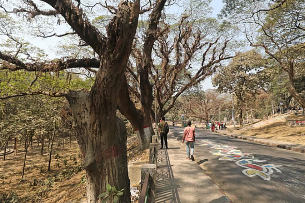 বয়সের ভারে নুয়ে পড়ছে সিআরবির ‘ফুসফুস’