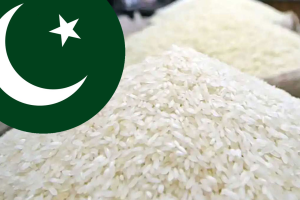 পাকিস্তান থেকে বেশি দামে চাল কিনছে বাংলাদেশ