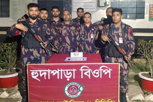 চুয়াডাঙ্গায় দুই কেজি সোনা জব্দ