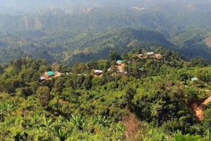 লামায় ২৬ জন রাবার শ্রমিককে অপহরণ, মুক্তিপণ দাবি