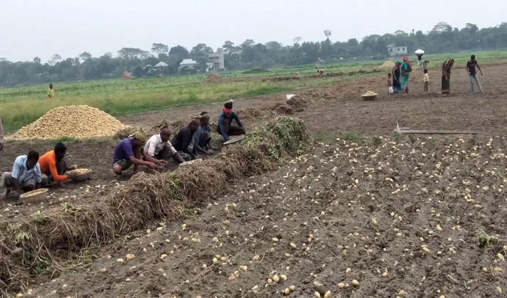 মুন্সীগঞ্জে আধিপত্য বিস্তার নিয়ে দুই পক্ষের গোলাগুলি ও ককটেল বিস্ফোরণ 3 Alo 1741432729 মুন্সীগঞ্জে আধিপত্য বিস্তার নিয়ে দুই পক্ষের গোলাগুলি ও ককটেল বিস্ফোরণ