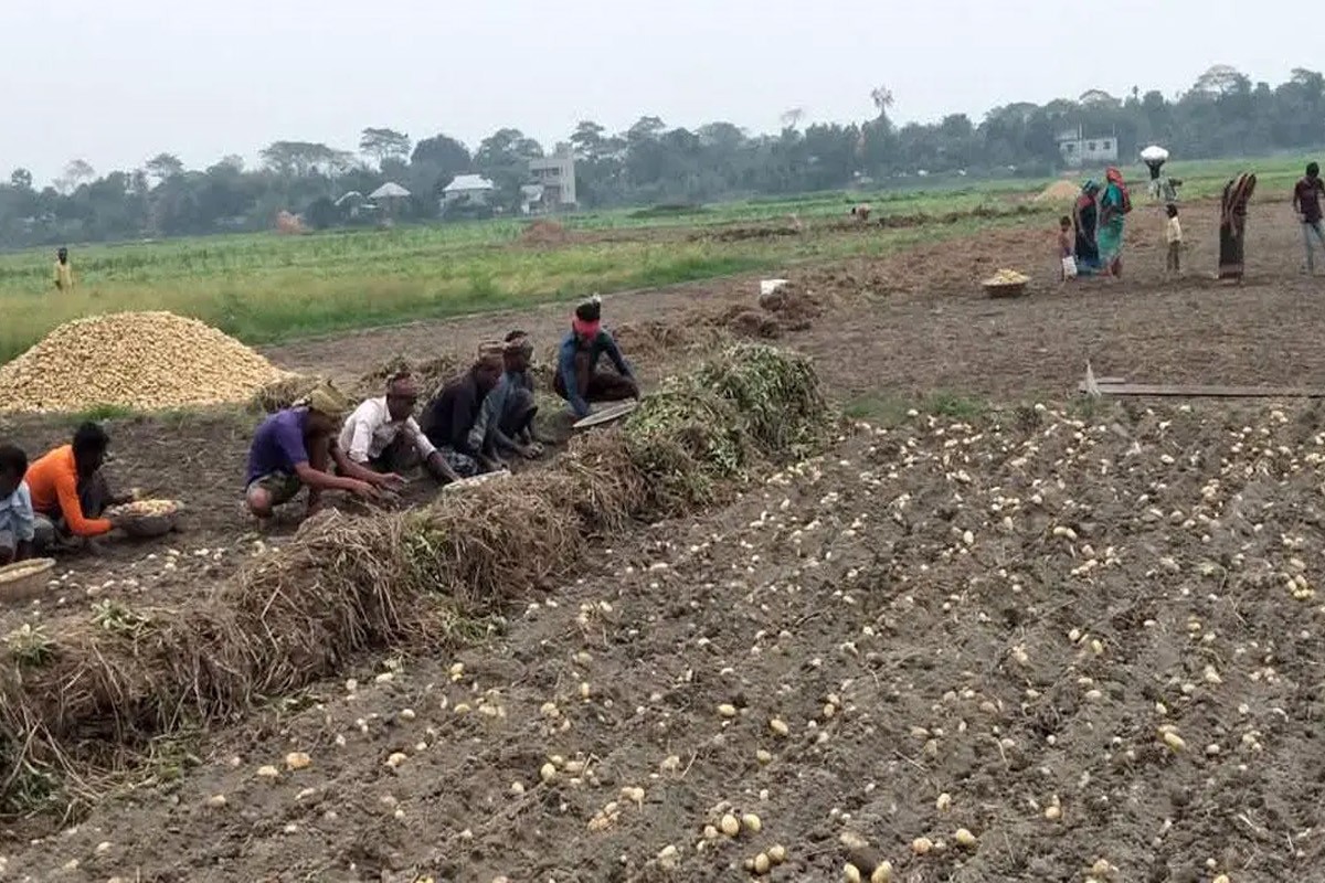 মুন্সীগঞ্জে আধিপত্য বিস্তার নিয়ে দুই পক্ষের গোলাগুলি ও ককটেল বিস্ফোরণ