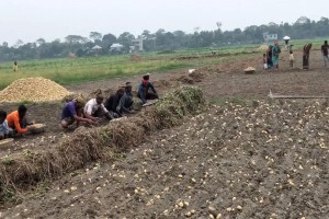 মুন্সীগঞ্জে আধিপত্য বিস্তার নিয়ে দুই পক্ষের গোলাগুলি ও ককটেল বিস্ফোরণ