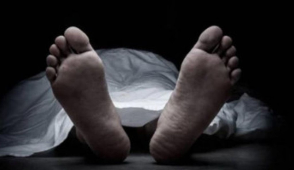 TOUKIR 12 1742395478 ইঁদুরের জন্য পাতা ফাঁদে প্রাণ হারালেন কৃষক