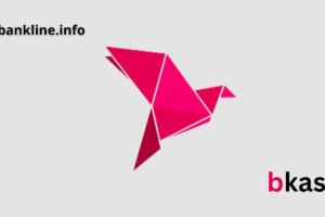 নিয়োগ দিচ্ছে বিকাশ, লাগবে না আবেদন ফি