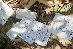 ডিসির বাংলোর বাঁশঝাড়ের নিচে মিললো সংসদ নির্বাচনের সিলমারা বিপুল ব্যালট