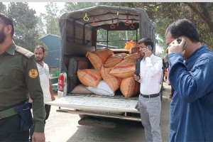 ঘোড়াঘাটে সরকারি ভিজিএফ’র ৩০ বস্তা চাল জব্দ