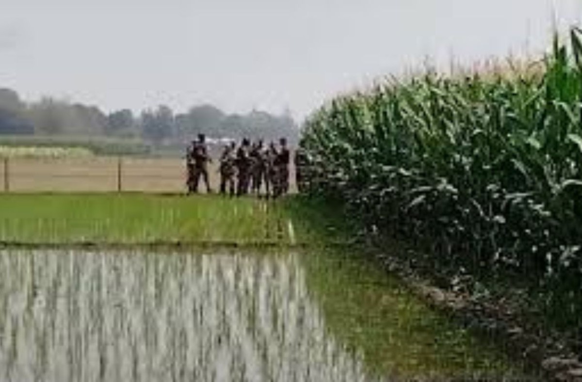 আবারও দহগ্রাম সীমান্তে কাঁটাতার নির্মাণ চেষ্টা বিএসএফের, বিজিবির বাধা