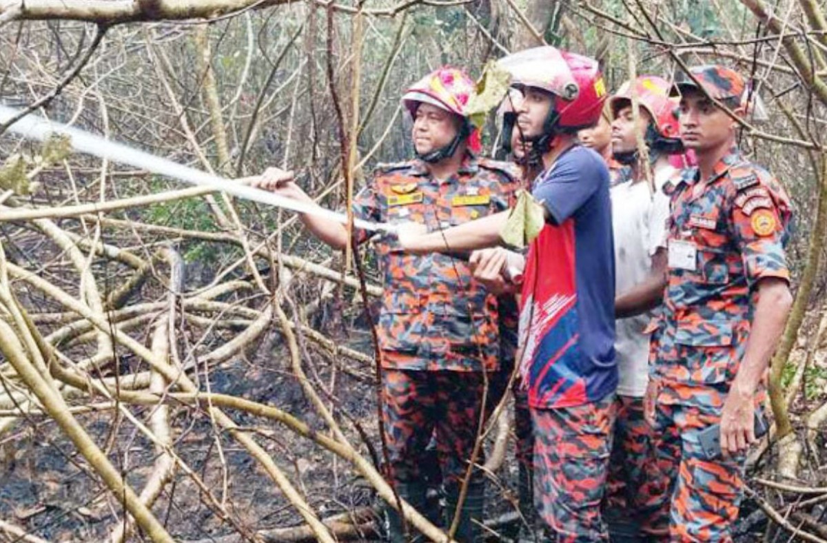 পুরোপুরি নিয়ন্ত্রণে এসেছে সুন্দরবনের আগুন