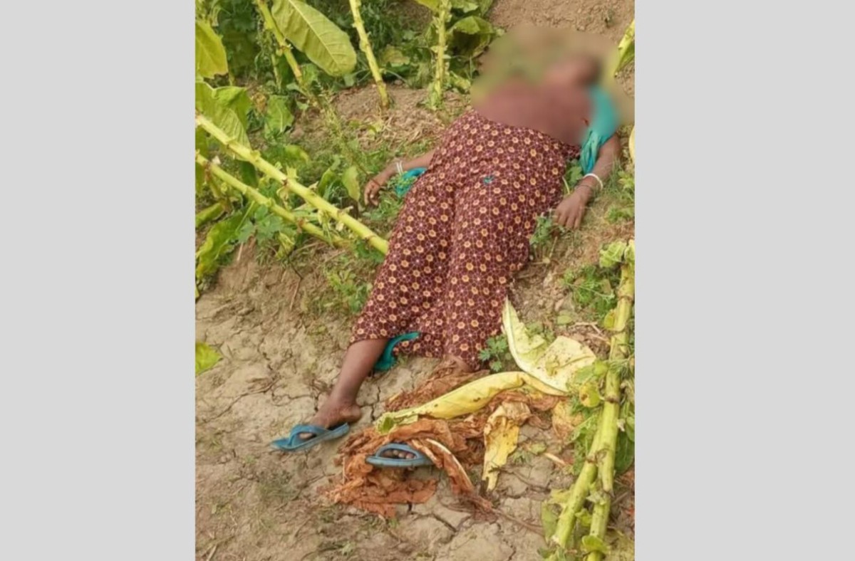 কুষ্টিয়ায় তামাকের মাঠ থেকে নারীর মরদেহ উদ্ধার