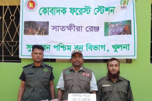 সুন্দরবনে ৫০ কেজি হরিণের মাংস উদ্ধার