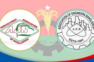 বিএনপির ২ পেশাজীবী সংগঠনের কমিটি বিলুপ্ত ঘোষণা