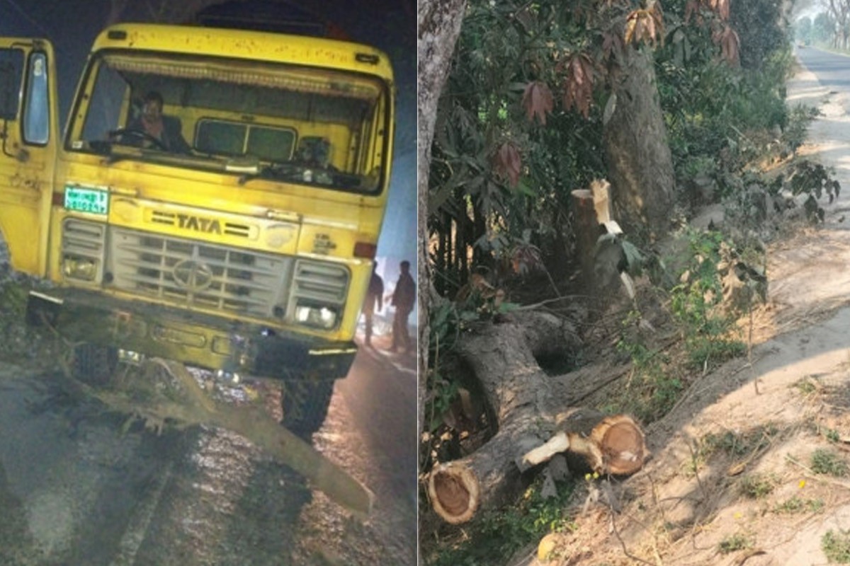 সাঁথিয়ায় সড়কে গাছ ফেলে অন্তত ২০-২৫টি গাড়িতে ডাকাতি