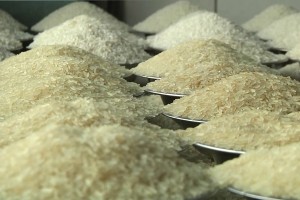 ভিয়েতনাম থেকে এলো ২৯ হাজার টন চাল
