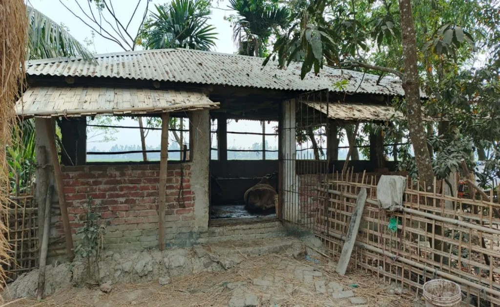 গরু চোর সিন্ডিকেটের প্রধান গ্রেপ্তার; ক্ষোভে ওসির বাড়ির গরু চুরি 5 Untitled 2 Recovered 1740998253 গরু চোর সিন্ডিকেটের প্রধান গ্রেপ্তার; ক্ষোভে ওসির বাড়ির গরু চুরি