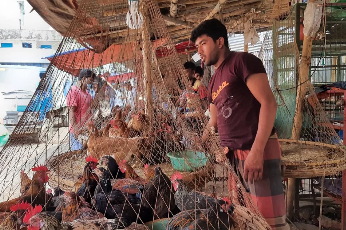 ঈদের আগে বাড়লো মুরগির দাম