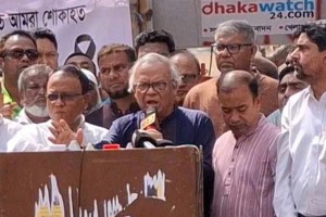 কিচেন কেবিনেট অন্তর্বর্তী সরকার পরিচালনা করছে: রিজভী
