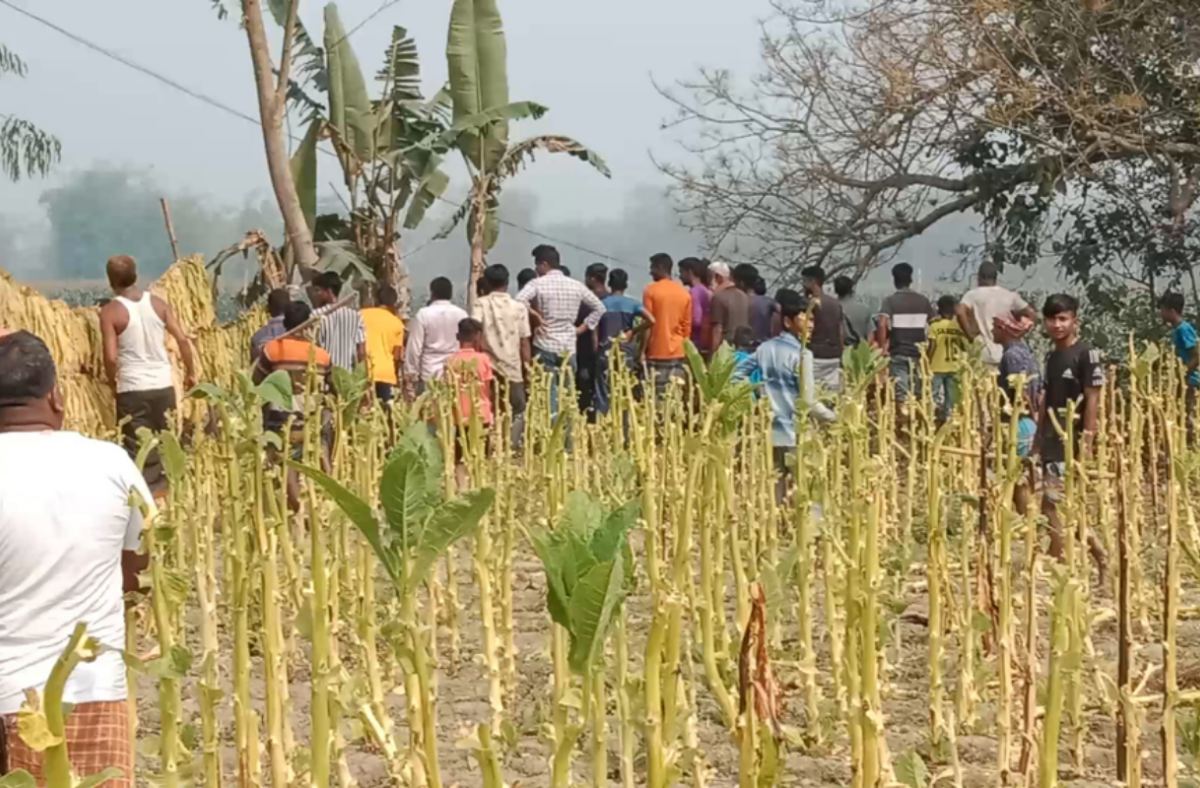 সীমান্তে বাংলাদেশিদের মাছ চুরি ভারতীয়দের,  ক্ষমা চাইলে পরিস্থিতি শান্ত হয়