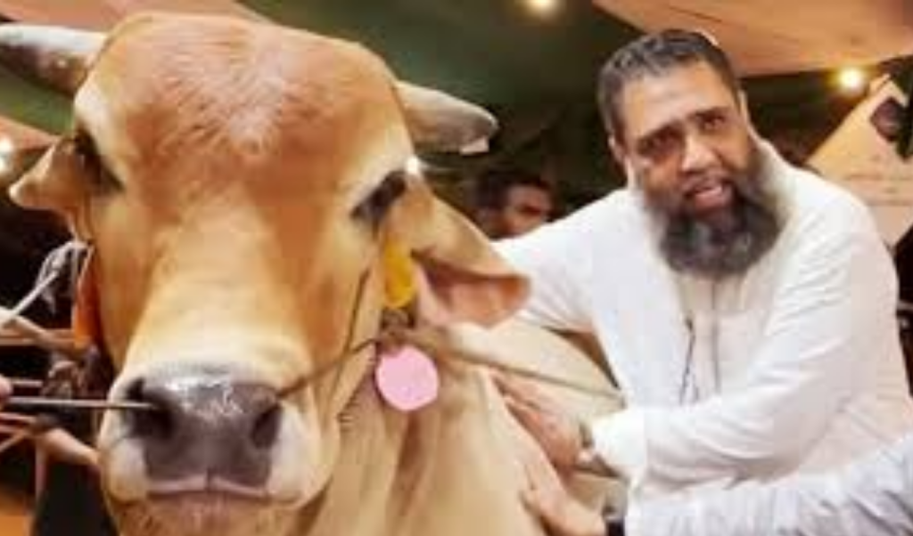 ছাগলকাণ্ডে আলোচিত সাদিক অ্যাগ্রোর চেয়ারম্যান ইমরান গ্রেপ্তার 2 ছবি: সংগৃহিত