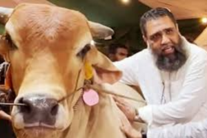 ছবি: সংগৃহিত