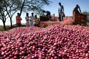 পেঁয়াজ রপ্তানির শুল্ক তুলে নিলো ভারত
