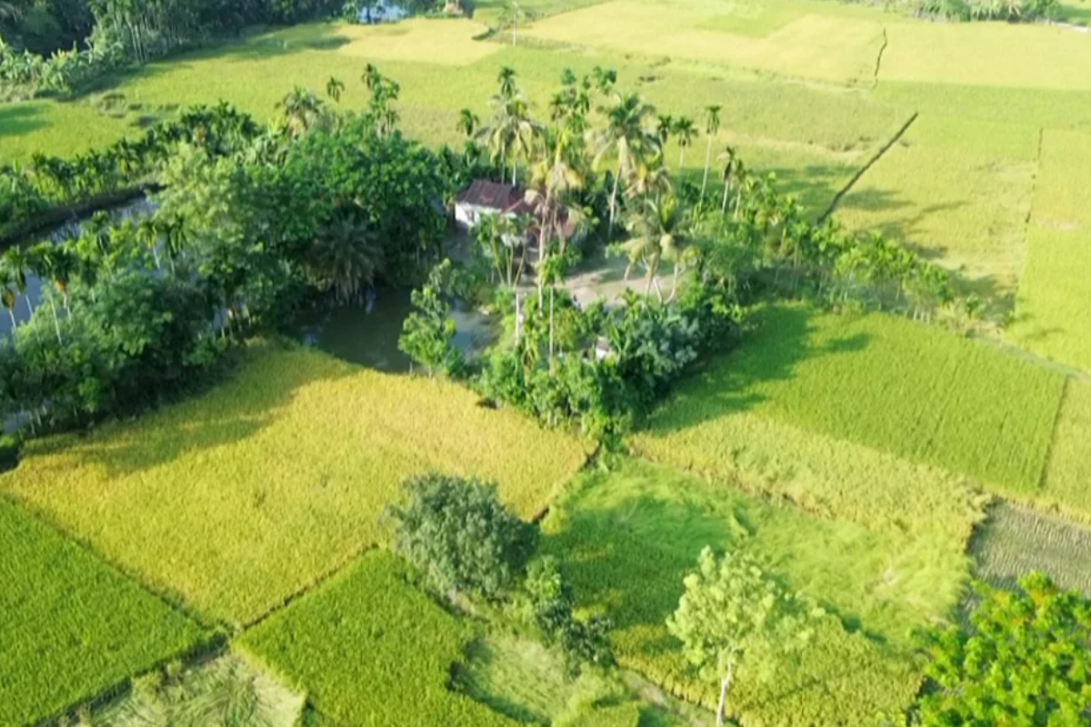 ১৫ লাখ টাকায় বিক্রি হলো একটি গ্রাম!