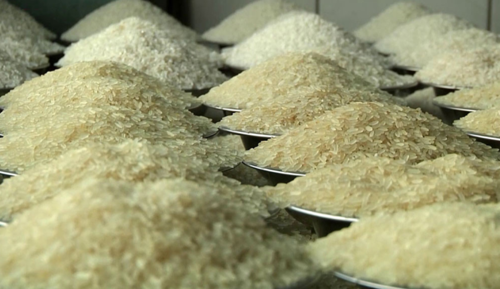 ভারত থেকে এলো ৬ হাজার মেট্রিক টন চাল 3 rice 1741431780 ভারত থেকে এলো ৬ হাজার মেট্রিক টন চাল
