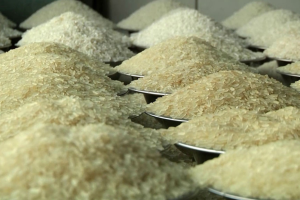 ভারত থেকে এলো ৬ হাজার মেট্রিক টন চাল