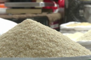 মিনিকেট চালের দাম কেজিতে বেড়েছে পাঁচ টাকা