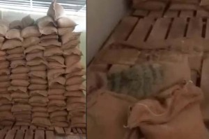 ভোলায় গুদাম থেকে ১৮২ বস্তা সরকারি চাল জব্দ, আটক ১