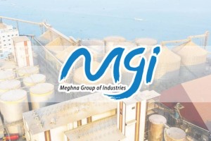 মেঘনা গ্রুপে চাকরির সুযোগ, আবেদন করুন আজই